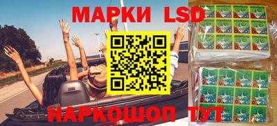 спиды Моздок