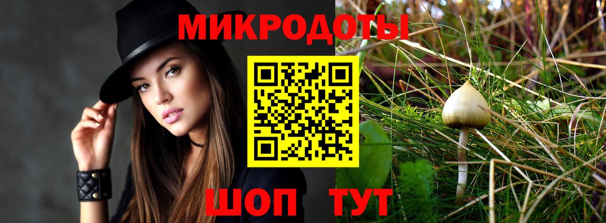 Псилоцибиновые грибы прущие грибы  Вход с VPN  Самара  Псилоцибиновые грибы прущие грибы 